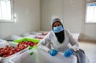 Rascha Ahmen Al Naser, 35, works as a packager in the HealthyKitchen in the Azraq refugee camp, Jordan. Photo: UN Women/ Lauren Rooney