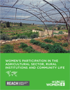 Women's participation in the agricultural sector, rural institutions and community life. 